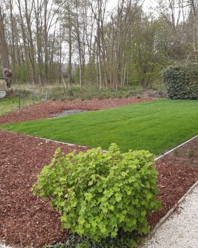 Aanleg grasmatten en plantenperk JH Workx kluswerken